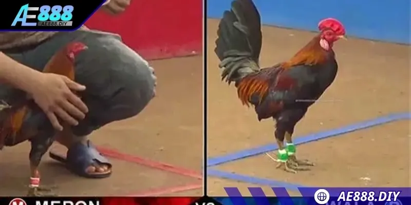 Hãy quan sát kỹ trạng thái kê chiến để chọn cửa