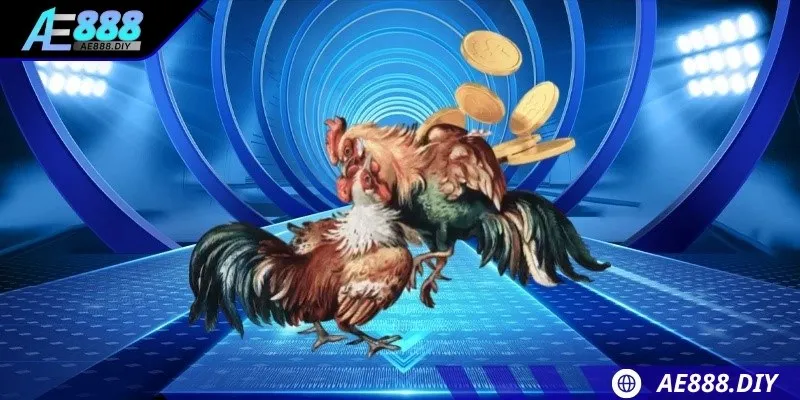 Thông tin về trò đá gà Thomo